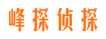 城东市侦探公司